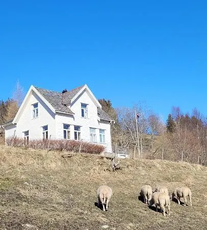 Skogan Appartement Leirfjord Buitenkant foto