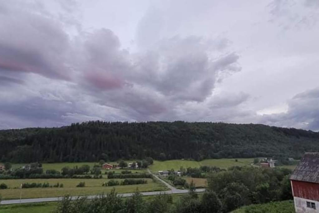 Skogan Apartment Leirfjord
