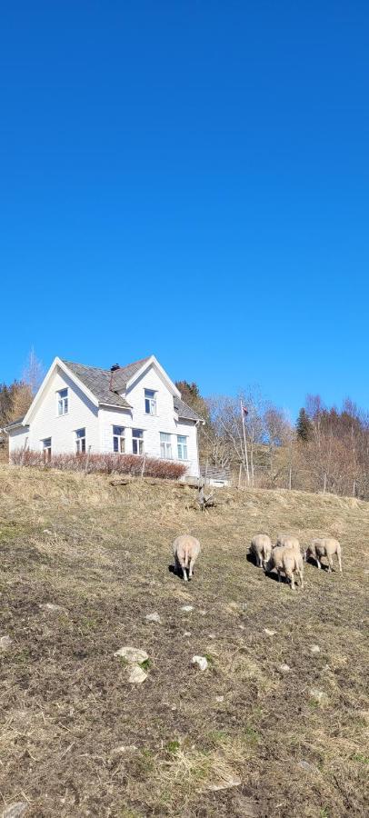 Skogan Leirfjord